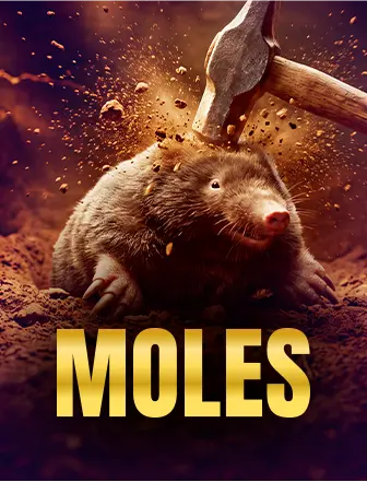 Moles
